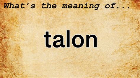 talon meaning slang